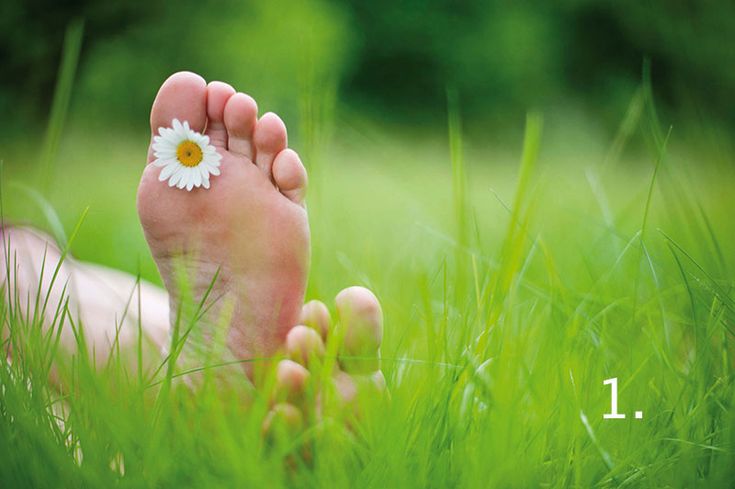 Le printemps, une invitation au renouveau
